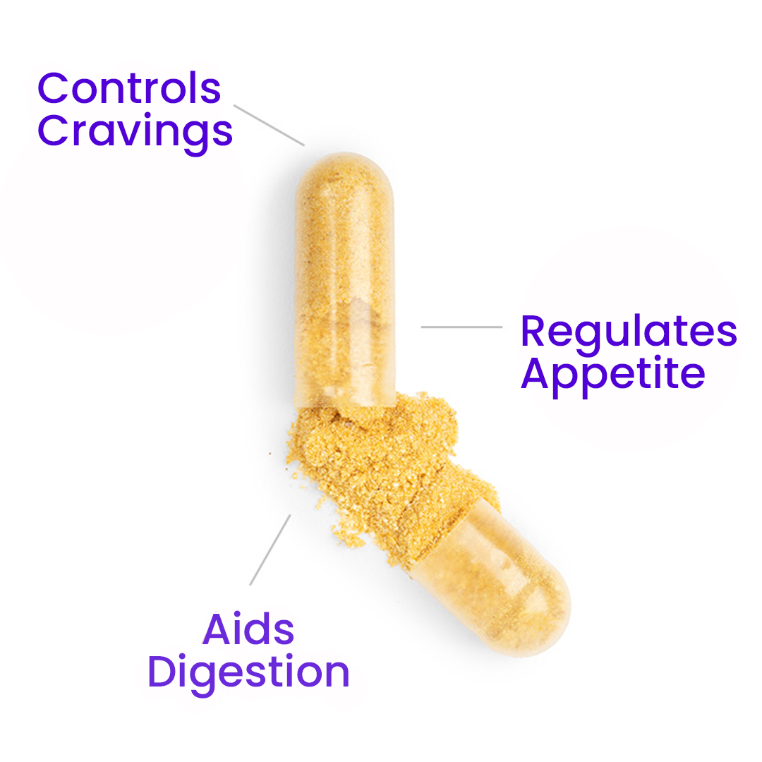 GLP-1 Natural Ozempic Supplement